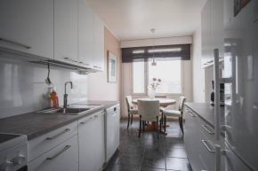 Nice and comfortable apartment